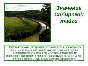 Значение Сибирской тайги Сибирская тайга имеет огромное экономическое и экологич