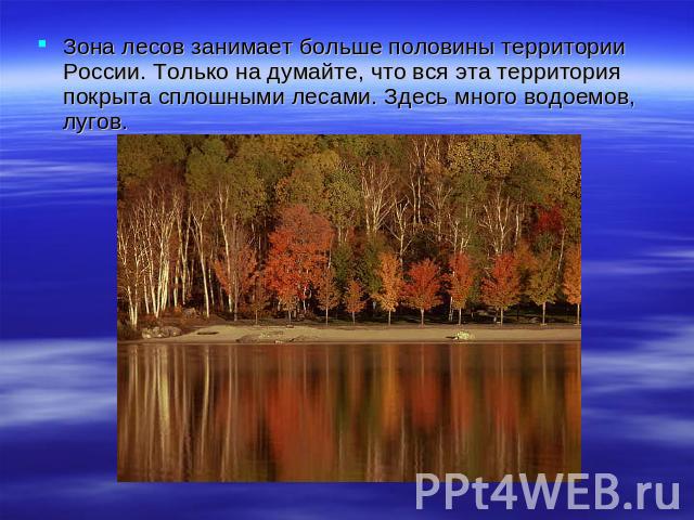 Зона лесов занимает больше половины территории России. Только на думайте, что вся эта территория покрыта сплошными лесами. Здесь много водоемов, лугов.