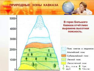 ПРИРОДНЫЕ ЗОНЫ КАВКАЗА В горах Большого Кавказа отчётливо выражена высотная пояс