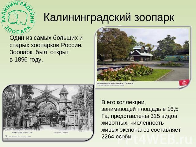 Калининградский зоопарк Один из самых больших и старых зоопарков России. Зоопарк был открыт в 1896 году.В его коллекции, занимающей площадь в 16,5 Га, представлены 315 видов животных, численность живых экспонатов составляет 2264 особи