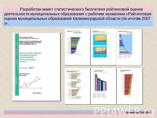 Разработан макет статистического бюллетеня рейтинговой оценки деятельности муниципальных образования с рабочим названием «Рейтинговая оценка муниципальных образований Калининградской области (по итогам 2007)».