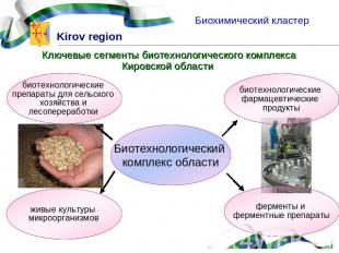 Биохимический кластер Ключевые сегменты биотехнологического комплекса Кировской