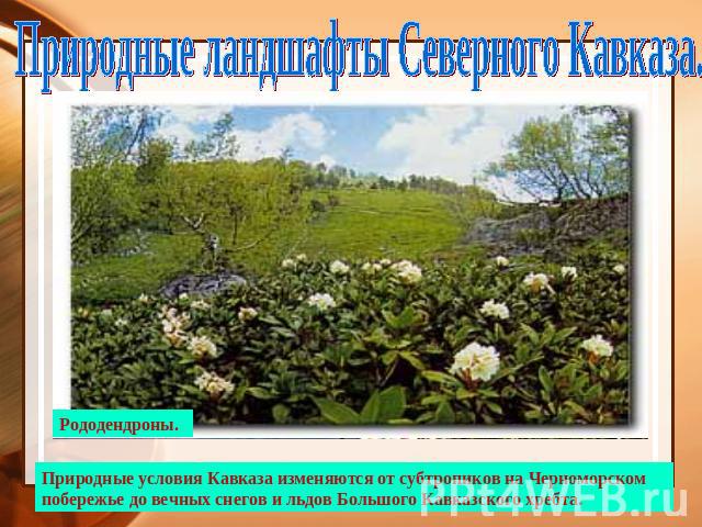 Природные ландшафты Северного Кавказа.Рододендроны.Природные условия Кавказа изменяются от субтропиков на Черноморском побережье до вечных снегов и льдов Большого Кавказского хребта.