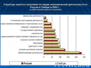 Структура занятого населения по видам экономической деятельности по России и Сиб