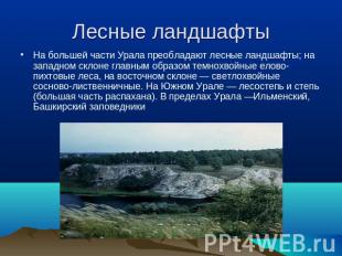 Лесные ландшафты На большей части Урала преобладают лесные ландшафты; на западно
