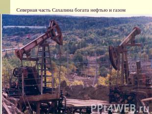 Северная часть Сахалина богата нефтью и газом