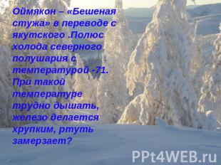 Оймякон – «Бешеная стужа» в переводе с якутского .Полюс холода северного полушар