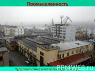 ПромышленностьСудоремонтные мастерские (Дальзавод).