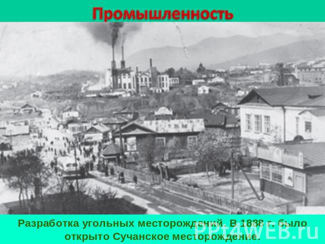 ПромышленностьРазработка угольных месторождений. В 1888 г. было открыто Сучанское месторождение.
