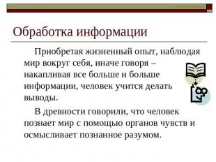 Обработка информации Приобретая жизненный опыт, наблюдая мир вокруг себя, иначе