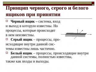 Принцип черного, серого и белого ящиков при принятии Черный ящик – система, вход