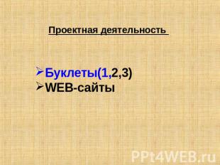  Проектная деятельность    Буклеты(1,2,3) WEB-сайты                    