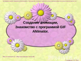 Создание анимации,Знакомство с программой GIF ANImator.