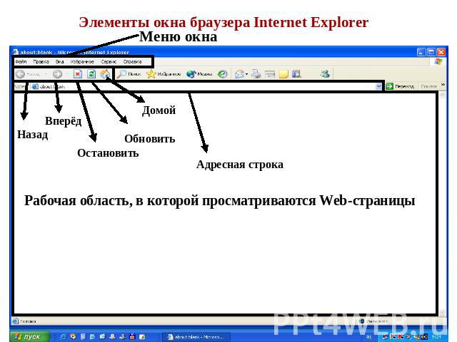 Элементы окна браузера Internet Explorer