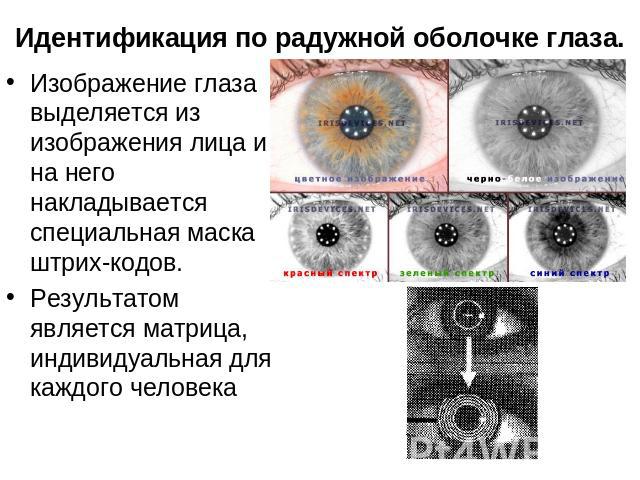 Идентификация по радужной оболочке глаза. Изображение глаза выделяется из изображения лица и на него накладывается специальная маска штрих-кодов. Результатом является матрица, индивидуальная для каждого человека