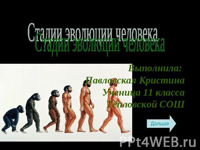 Стадии эволюции человека Выполнила: Павловская КристинаУченица 11 классаТёпловской СОШ
