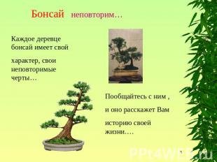 Бонсай неповторим… Каждое деревце бонсай имеет свойхарактер, свои неповторимые ч