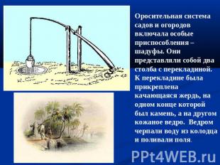 Оросительная система садов и огородов включала особые приспособления – шадуфы. О