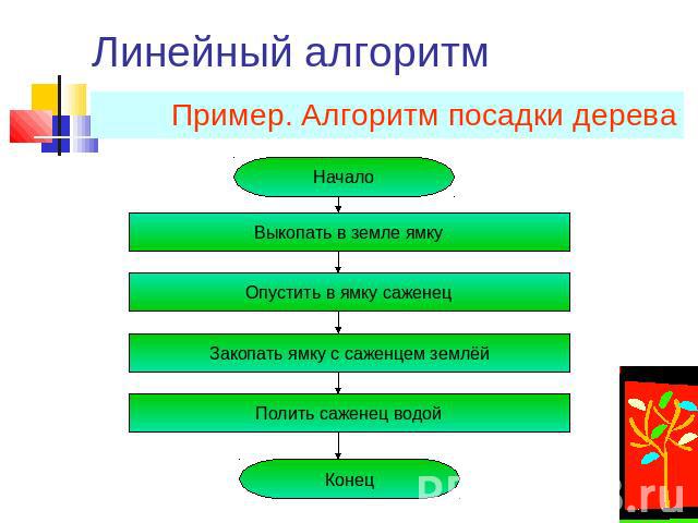 Линейный алгоритм Пример. Алгоритм посадки дерева