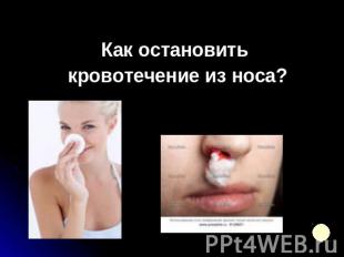 Как остановить кровотечение из носа?