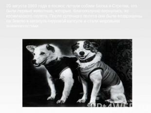 20 августа 1960 года в космос летали собаки Белка и Стрелка, это были первые жив