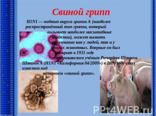 H1N1 — подтип вируса гриппа А (наиболее распространённый тип гриппа, который выз