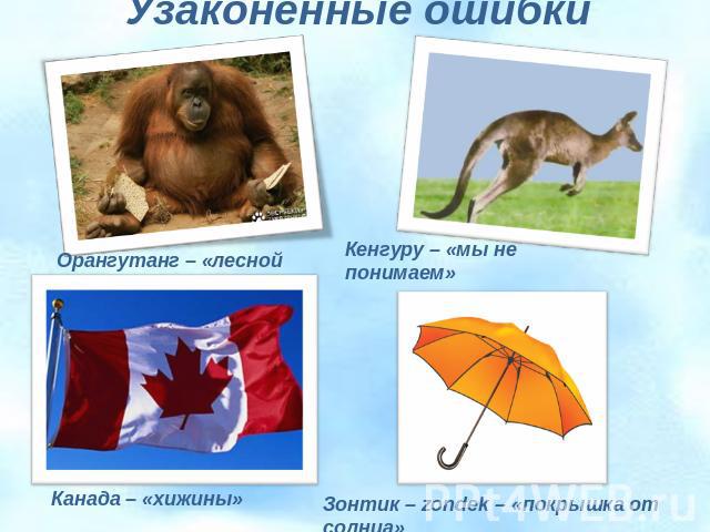 Узаконенные ошибки Орангутанг – «лесной человек» Кенгуру – «мы не понимаем» Канада – «хижины» Зонтик – zondek – «покрышка от солнца»