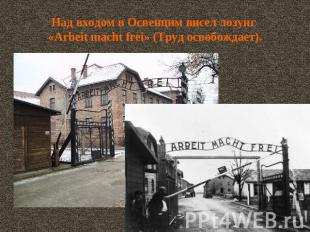 Над входом в Освенцим висел лозунг «Arbeit macht frei» (Труд освобождает).