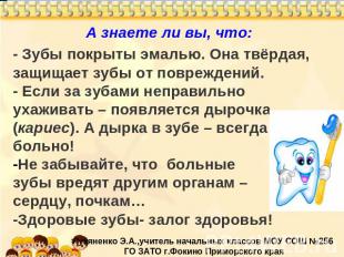 А знаете ли вы, что: - Зубы покрыты эмалью. Она твёрдая, защищает зубы от повреж