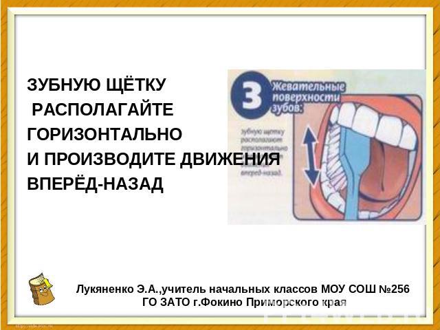 ЗУБНУЮ ЩЁТКУ РАСПОЛАГАЙТЕ ГОРИЗОНТАЛЬНО И ПРОИЗВОДИТЕ ДВИЖЕНИЯ ВПЕРЁД-НАЗАД Лукяненко Э.А.,учитель начальных классов МОУ СОШ №256 ГО ЗАТО г.Фокино Приморского края