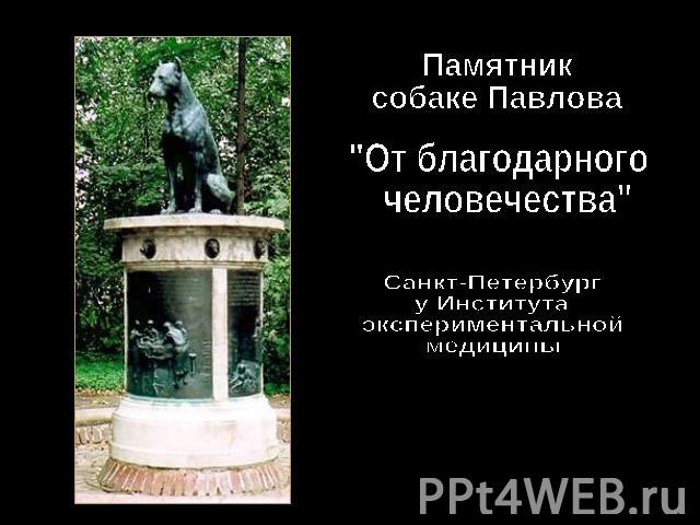 Памятник собаке Павлова 