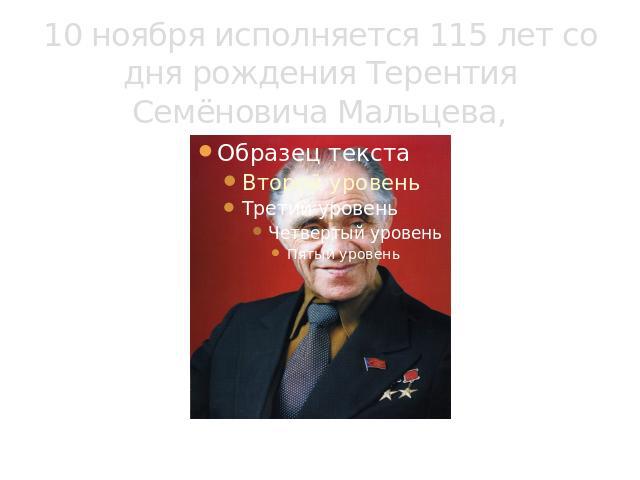 10 ноября исполняется 115 лет со дня рождения Терентия Семёновича Мальцева,