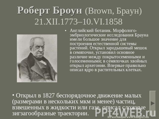 Роберт Броун (Brown, Браун) 21.XII.1773–10.VI.1858 Английский ботаник. Морфолого-эмбриологические исследования Брауна имели большое значение для построения естественной системы растений. Открыл зародышевый мешок в семяпочке, установил основное разли…