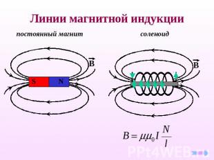 Линии магнитной индукции постоянный магнит соленоид