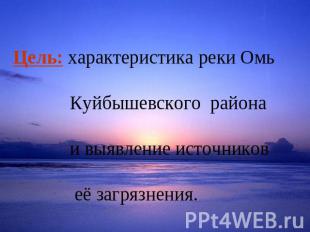 Цель: характеристика реки Омь Куйбышевского района и выявление источников её заг