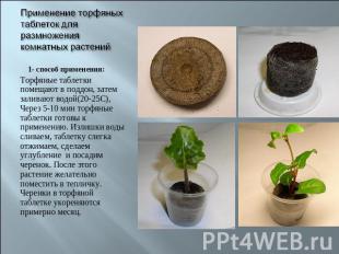 Применение торфяных таблеток для размножения комнатных растений 1- способ примен