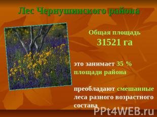 Лес Чернушинского района Общая площадь31521 гаэто занимает 35 % площади районапр
