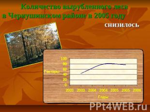 Количество вырубленного леса в Чернушинском районе в 2005 году снизилось