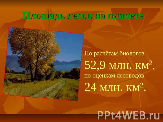 Площадь лесов на планете По расчётам биологов 52,9 млн. км2, по оценкам лесоводов 24 млн. км2.