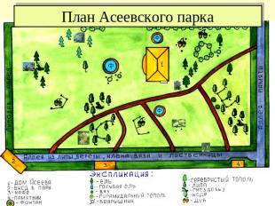 План Асеевского парка