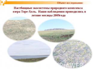 Пастбищные экосистемы природного комплекса озера Торе-Холь. Наши наблюдения пров