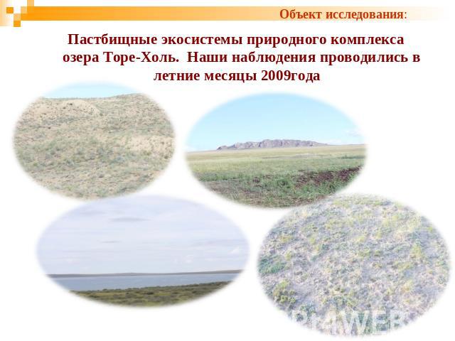 Пастбищные экосистемы природного комплекса озера Торе-Холь. Наши наблюдения проводились в летние месяцы 2009года