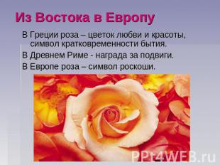 Из Востока в ЕвропуВ Греции роза – цветок любви и красоты, символ кратковременно