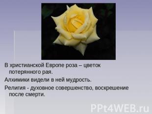 В христианской Европе роза – цветок потерянного рая.Алхимики видели в ней мудрос