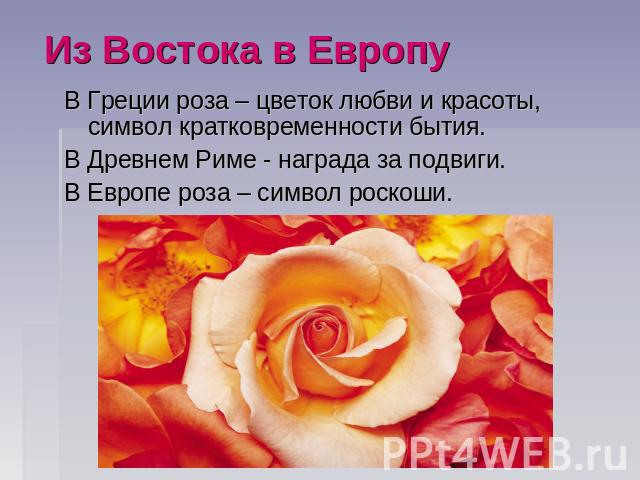 Из Востока в ЕвропуВ Греции роза – цветок любви и красоты, символ кратковременности бытия.В Древнем Риме - награда за подвиги.В Европе роза – символ роскоши.