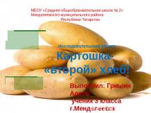 Картошка - «второй» хлеб