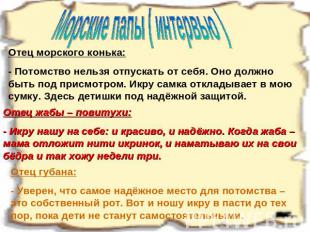 Морские папы ( интервью ) Отец морского конька:- Потомство нельзя отпускать от с