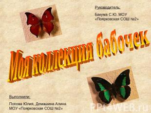 Руководитель:Бакума С.Ю. МОУ «Поярковская СОШ №2» Моя коллекция бабочек Выполнил