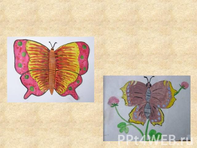 Бабочки в рисунке