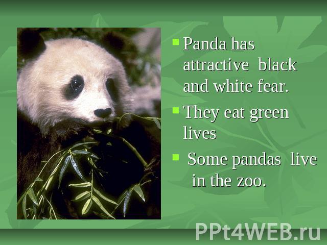 Panda has attractive black and white fear.They eat green lives Some pandas live in the zoo.